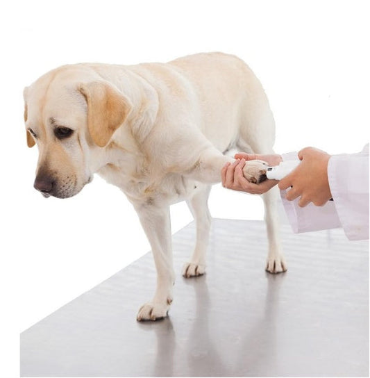 Professional Rechargeable Pet Nail Grinder | Quiet Electric Nail Trimmer for Dogs, Cats & Small Pets