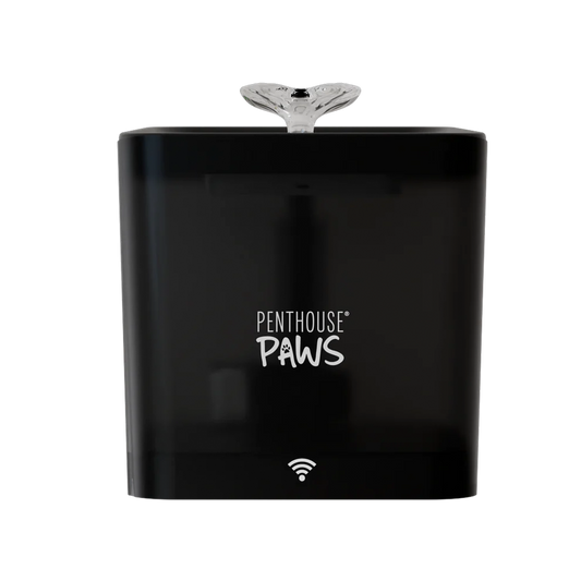 Smart Water Fountain