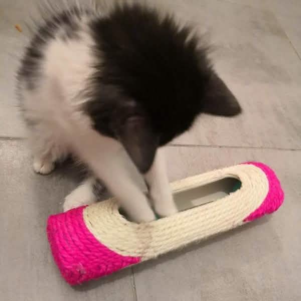 Interactive Sisal Cat Scratching Roller with 3 Rolling Balls | Scratch & Play Toy for Indoor Cats