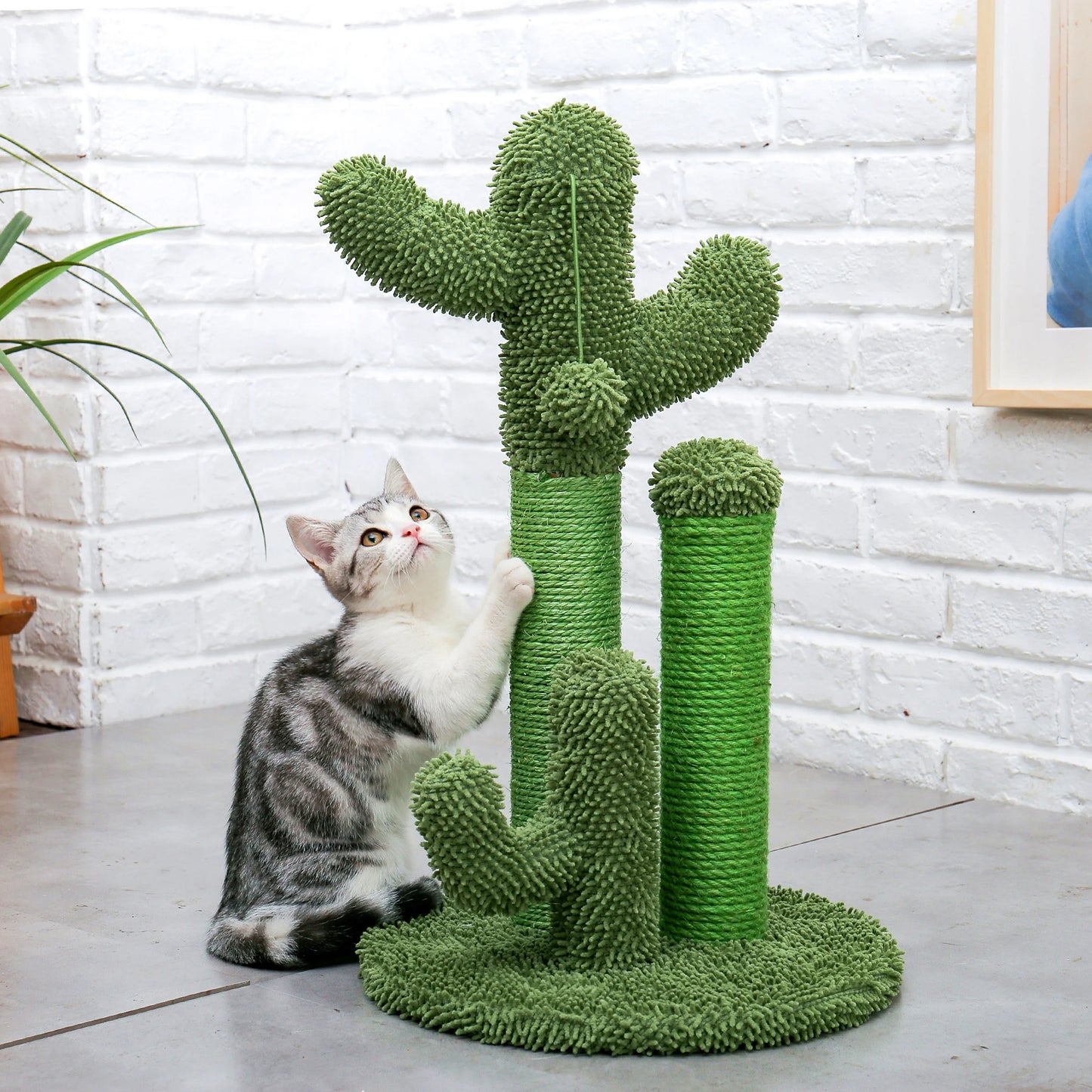 PAWZ Road 23" Cactus Cat Scratching Posts Medium Sisal Cat Scratcher,Green