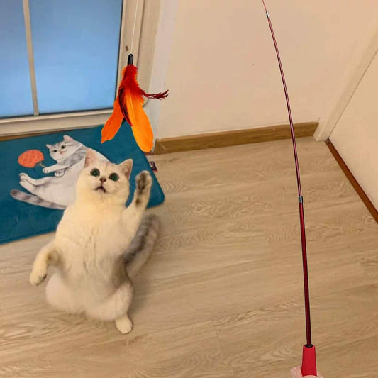 11-Piece Interactive Cat Wand Toy Set | Retractable Feather Teaser & Replacement Refills