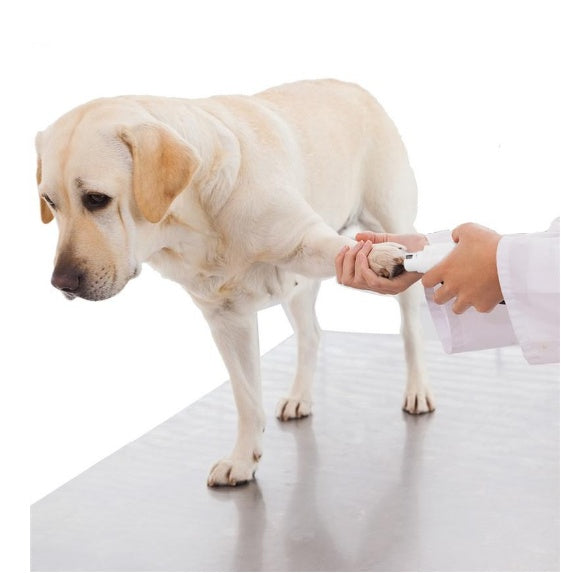 Professional Rechargeable Pet Nail Grinder | Quiet Electric Nail Trimmer for Dogs, Cats & Small Pets