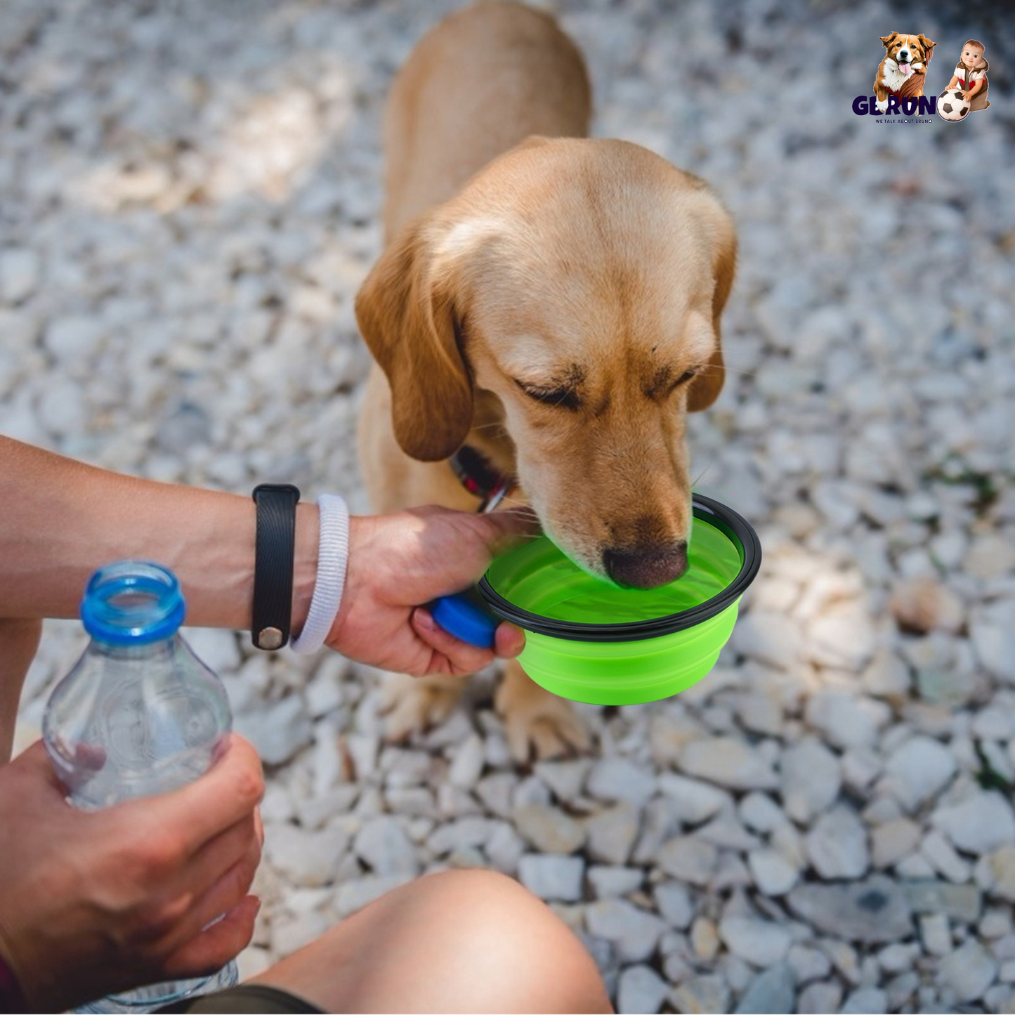 GBruno 4Pcs Silicone Collapsible Dog Bowls