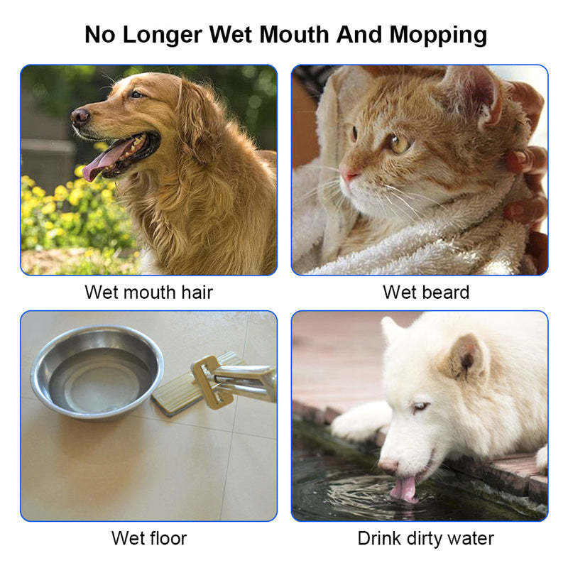 1.5L Floating Pet Water Bowl | Anti-Spill Slow Drinking Water Bowl for Dogs & Cats
