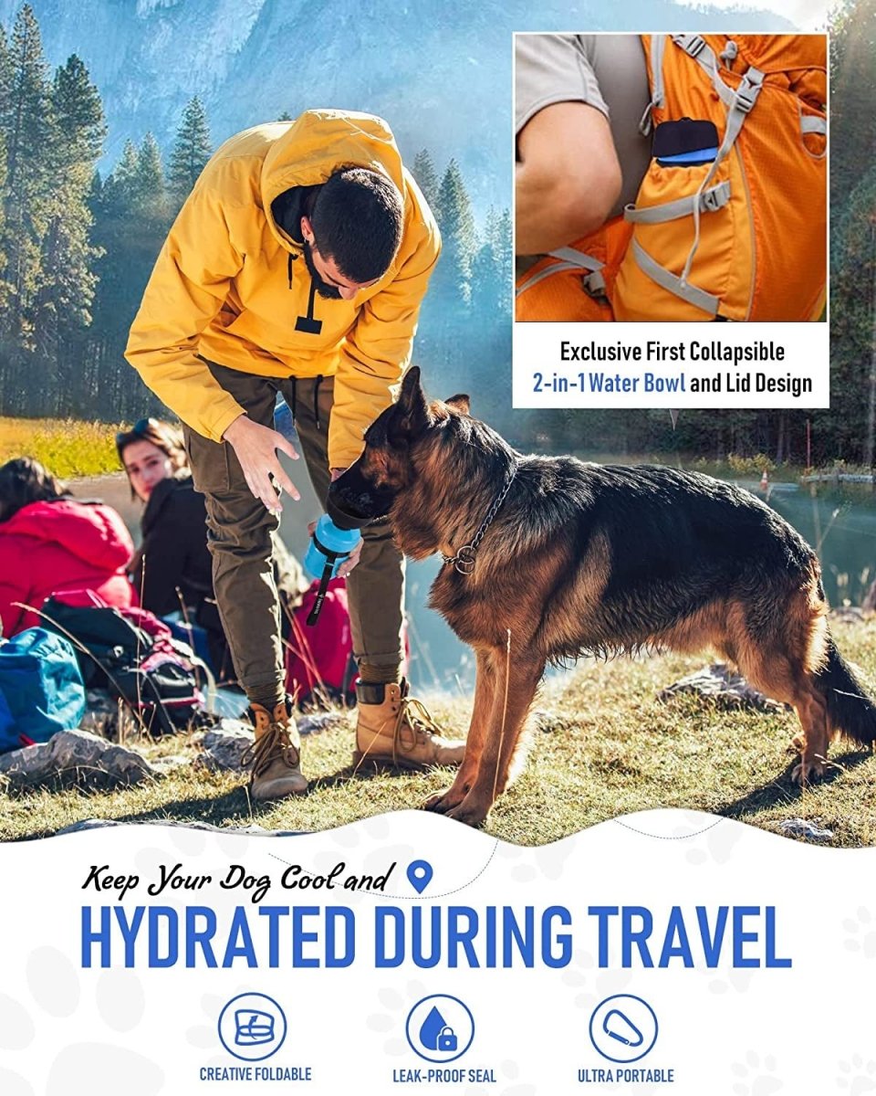 Portable Pet Water Bottle with Built-In Bowl for Dogs & Cats