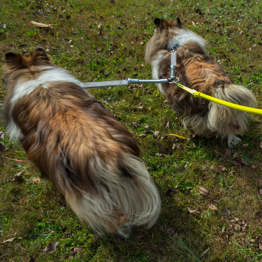 No-Tangle Double Dog Leash Coupler | Shock-Absorbing 2 Dog Walking Attachment