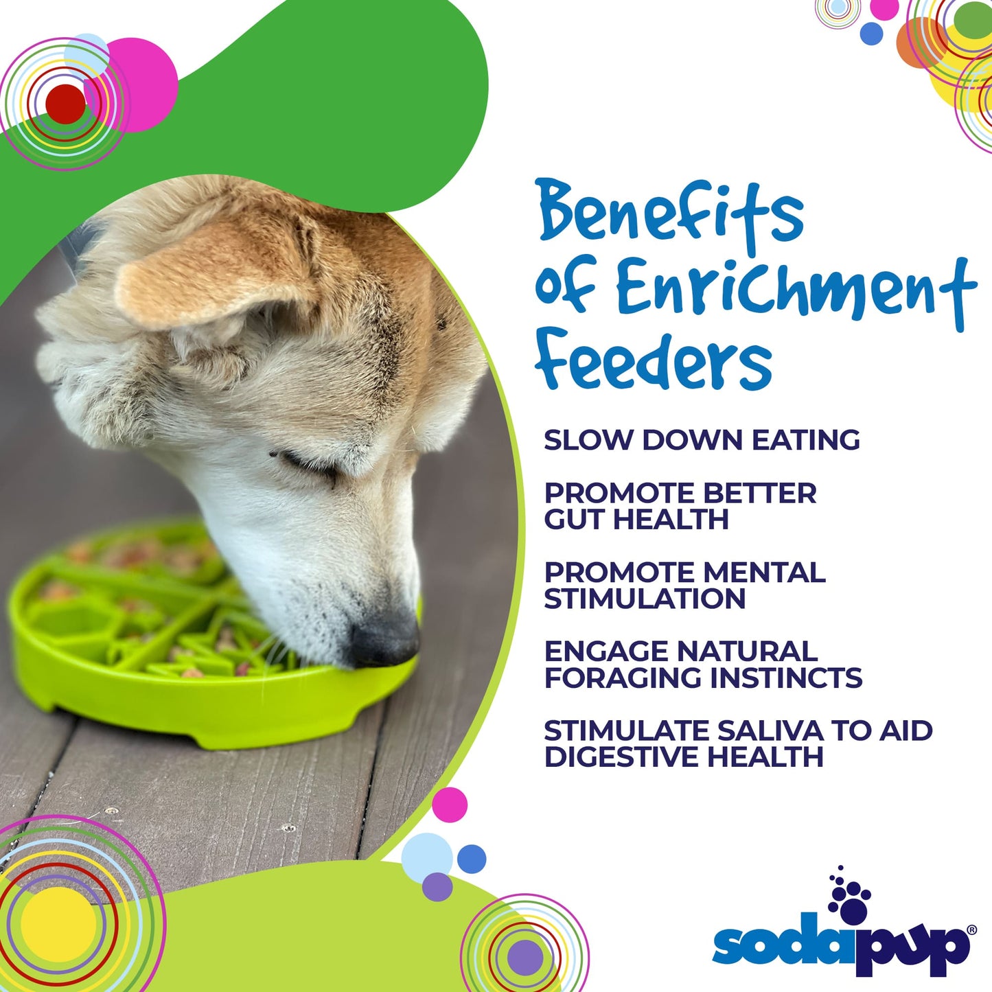 Four Seasons Slow Feeder eTray | USA-Made Enrichment Dog Bowl for Slow Feeding