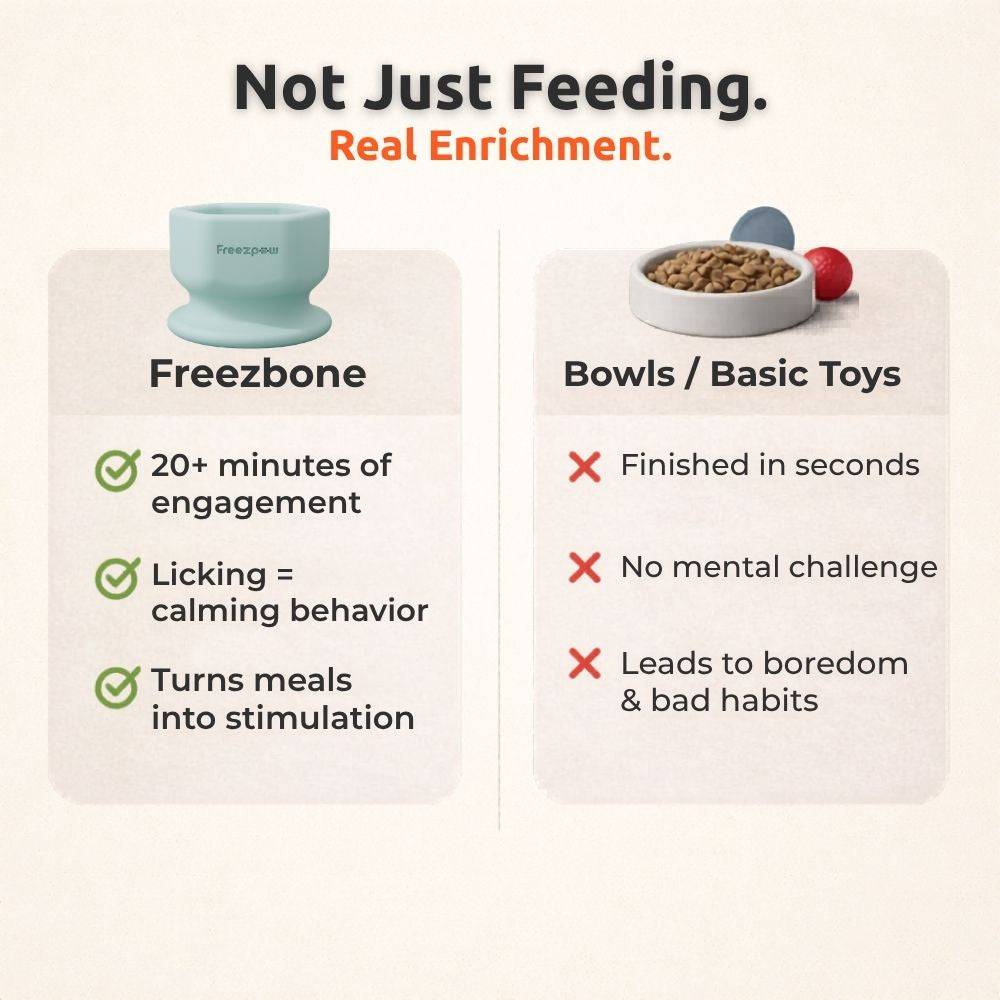 FreezSip Cat Fun Toy