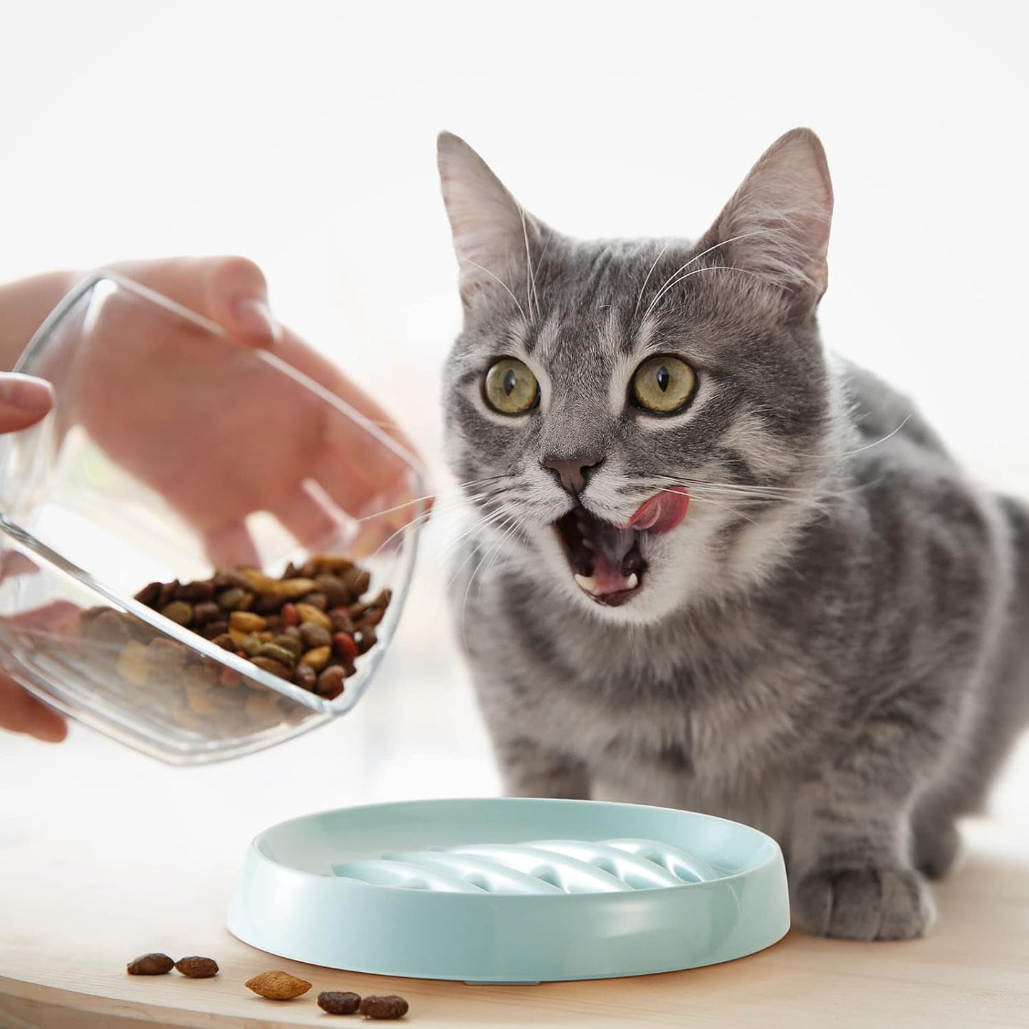 Fishbone Slow Feeder Bowl for Cats & Small Dogs | Interactive Anti-Gulping Pet Feeding Dish