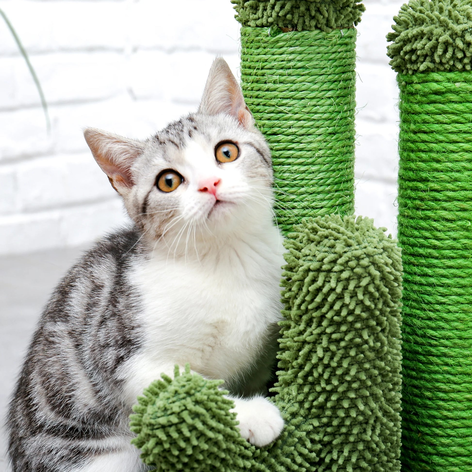 PAWZ Road 23" Cactus Cat Scratching Posts Medium Sisal Cat Scratcher,Green