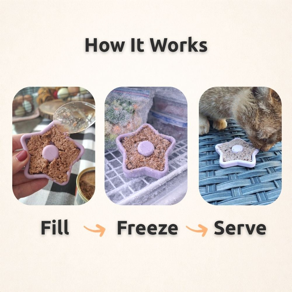 FreezTwinkle Cat Spark Play Toy