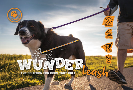 WUNDERleash™ Original No-Pull Dog Leash | Shock-Absorbing Stretch Training Leash