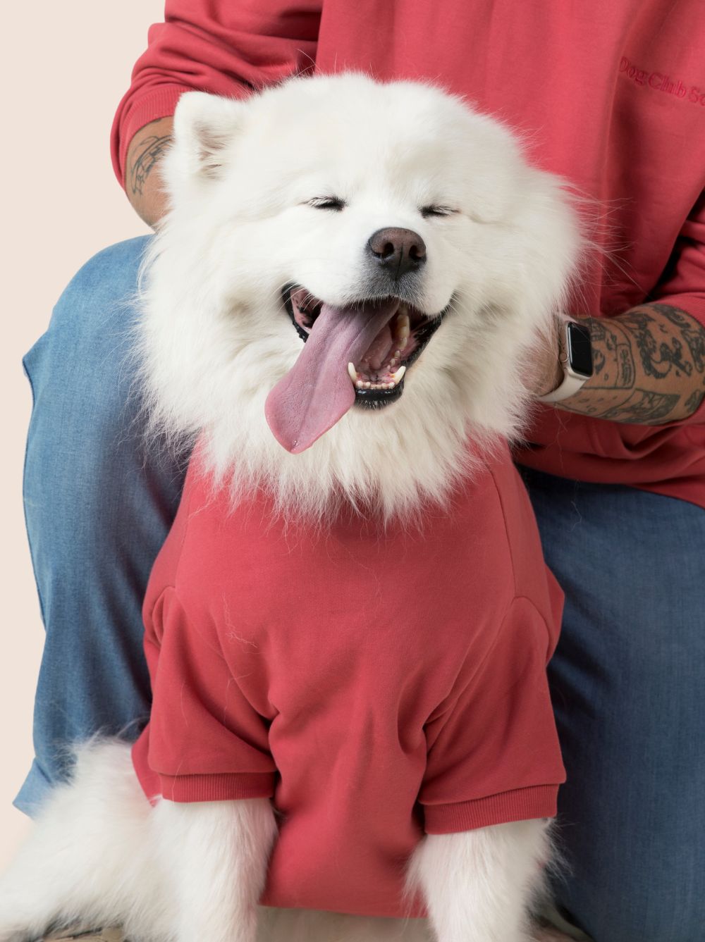 Perfect Hoodie (Adult Sizes Only)