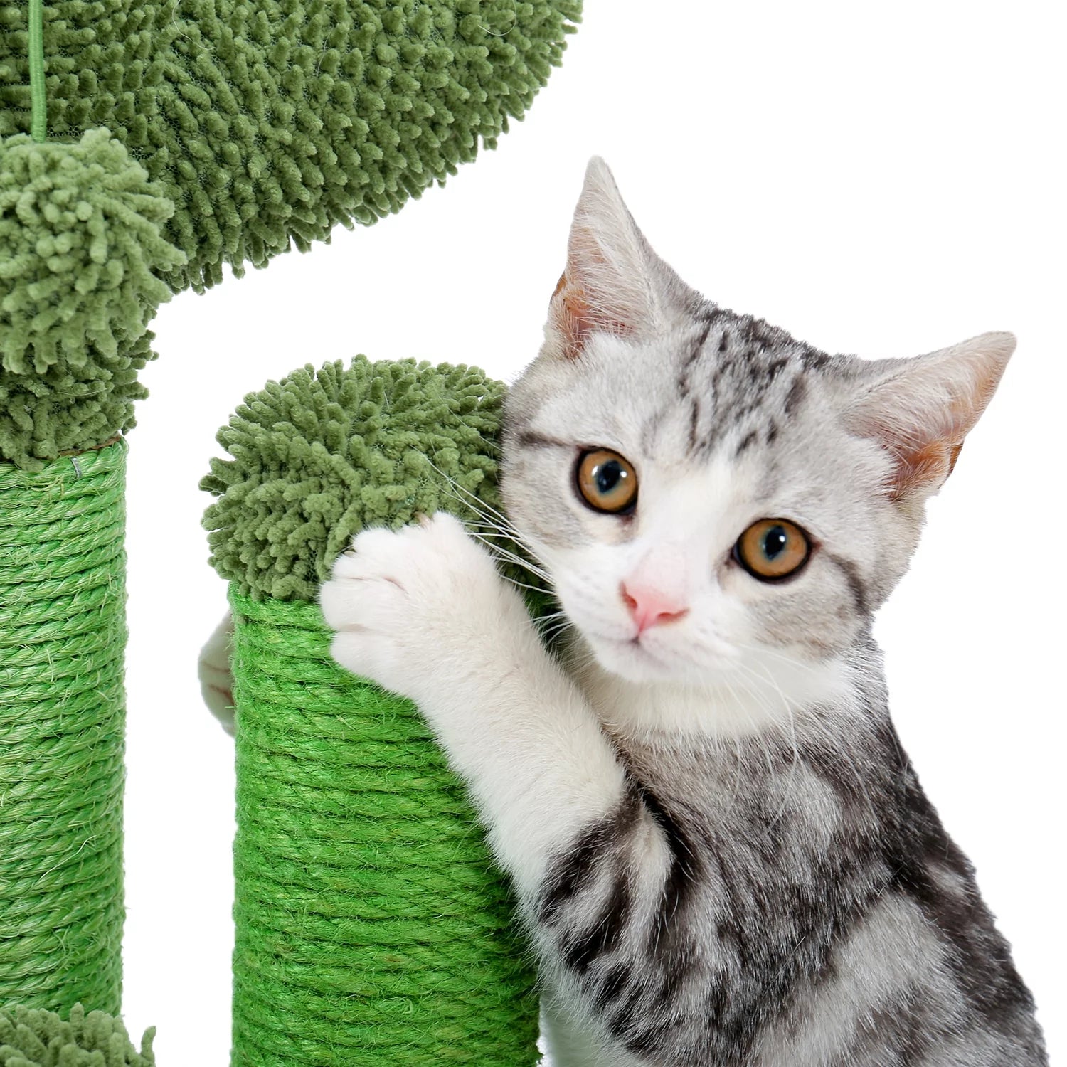 PAWZ Road 23" Cactus Cat Scratching Posts Medium Sisal Cat Scratcher,Green