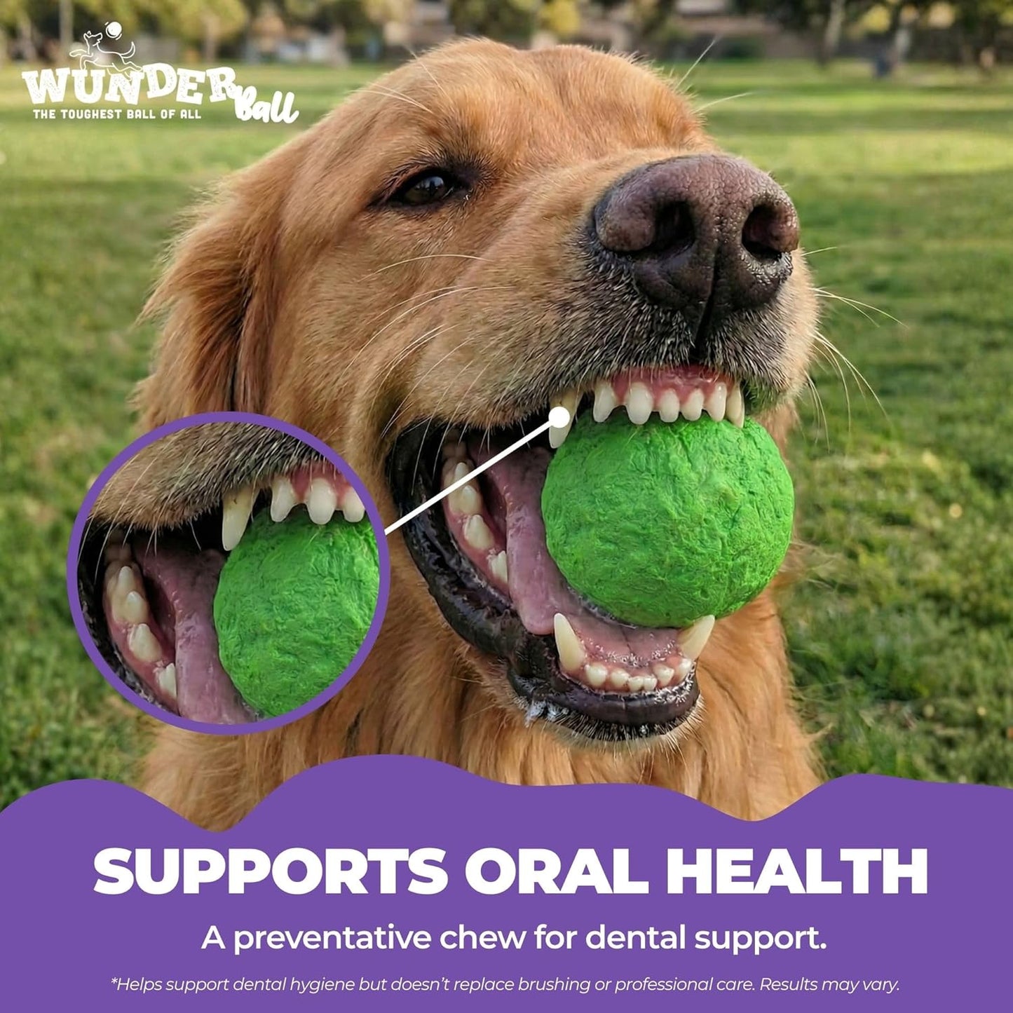 WUNDERball™ Natural Rubber Fetch Ball | Durable Floating Dog Toy for Aggressive Chewers
