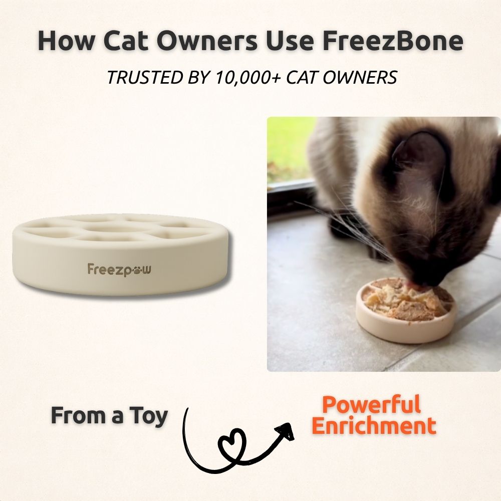 FreezSpin Cat Durable Interactive