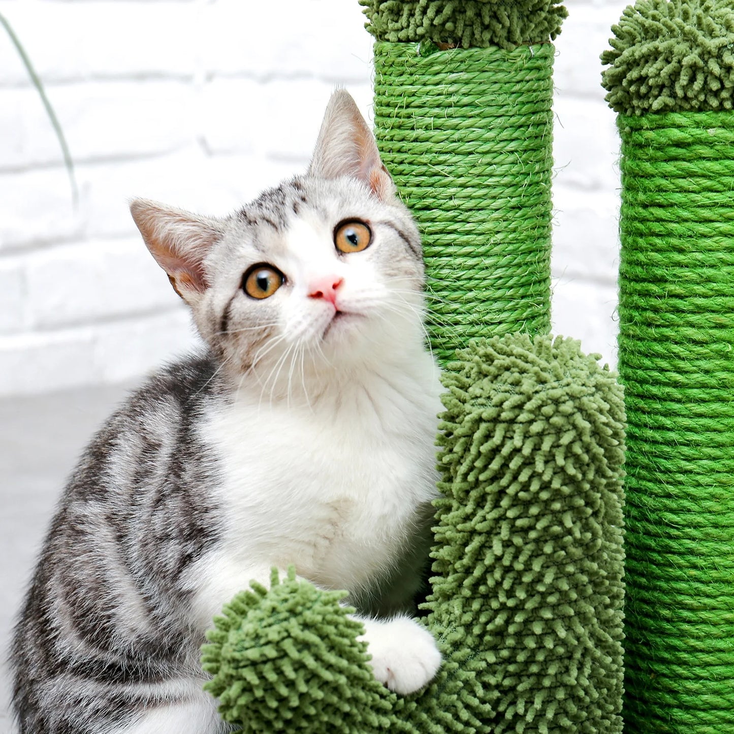 PAWZ Road 27" Cactus Cat Scratching Posts Sisal Cat Scratcher Green Large