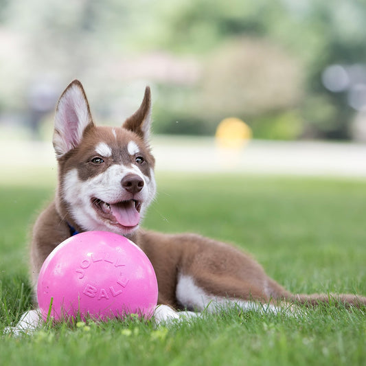Jolly Bounce-n-Play Dog Ball | Durable USA-Made Floating Fetch Ball for Dogs
