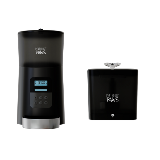 Automatic Cat Feeder & Smart Water Fountain