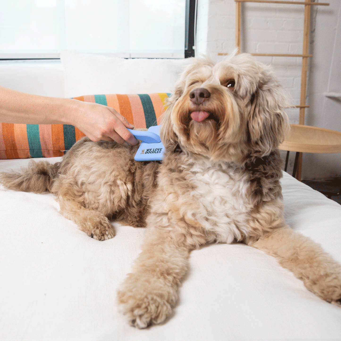 Professional Long Pin Slicker Brush for Dogs | Deshedding & Dematting Grooming Brush