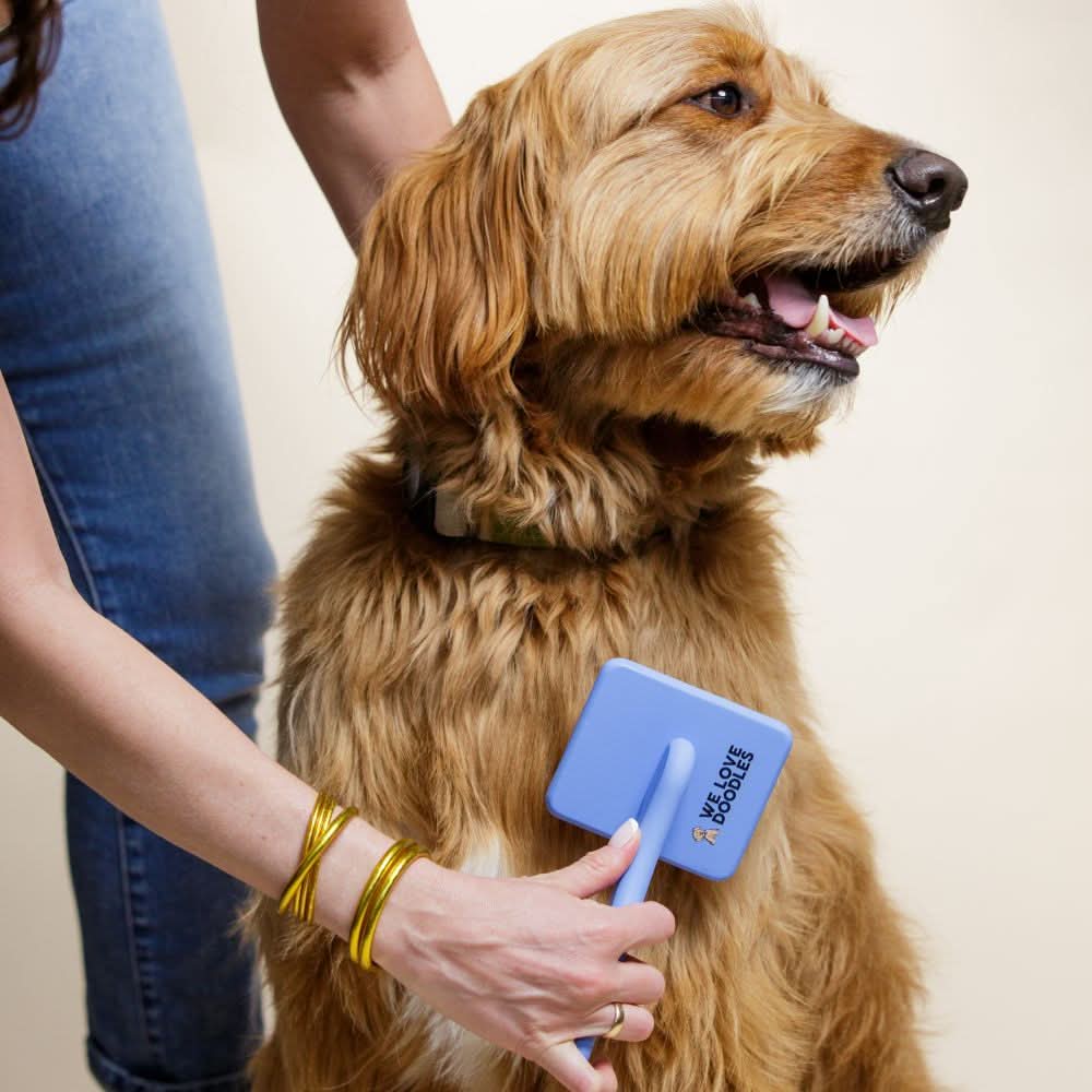 Professional Long Pin Slicker Brush for Dogs | Deshedding & Dematting Grooming Brush