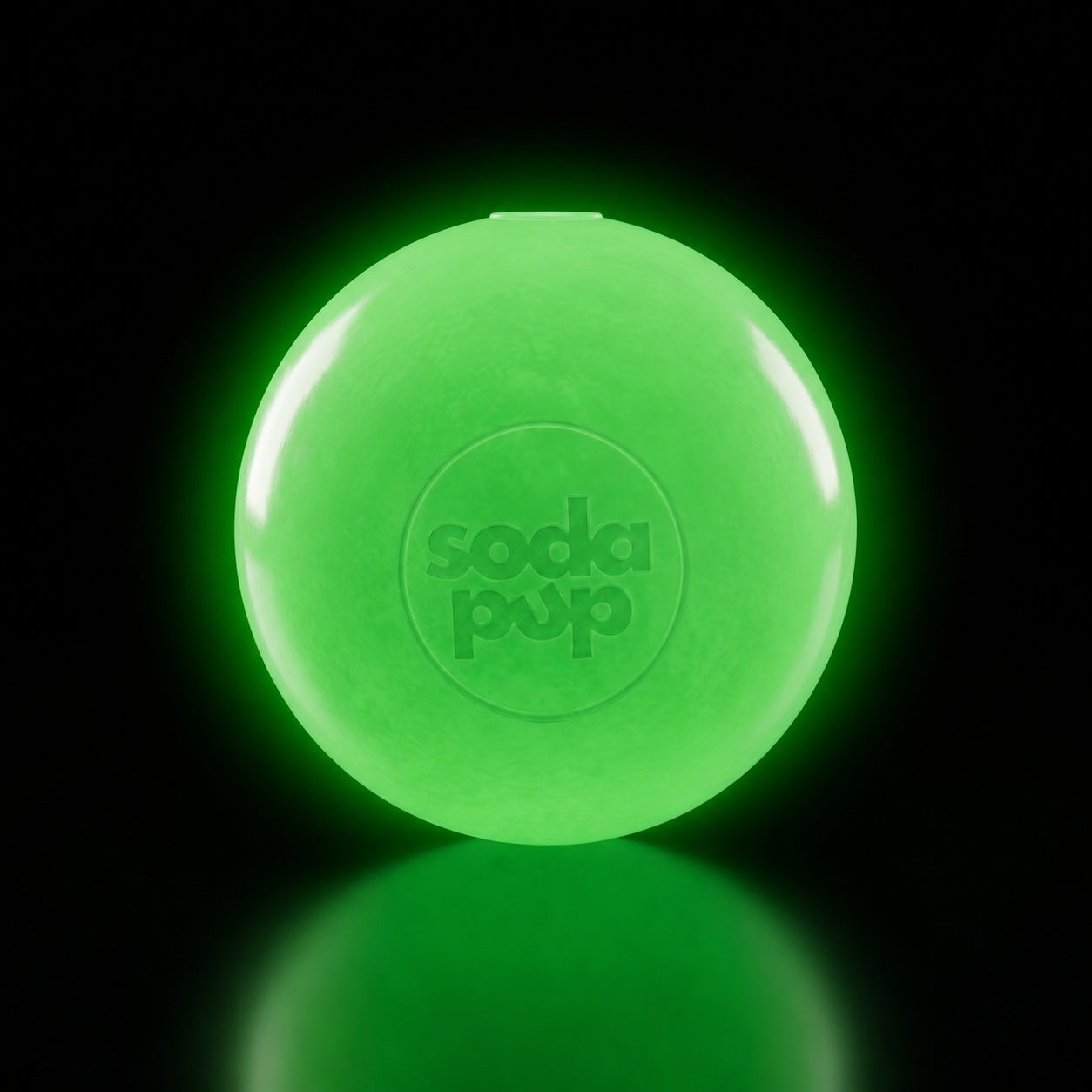 Durable Squeaky Dog Ball | USA-Made Floating Fetch & Chew Toy for Dogs