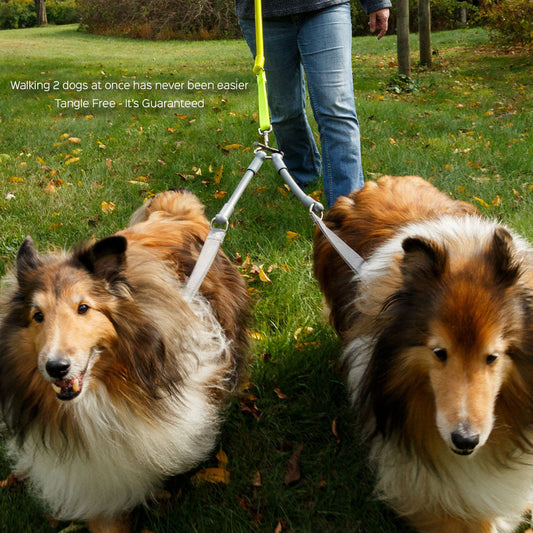 No-Tangle Double Dog Leash Coupler | Shock-Absorbing 2 Dog Walking Attachment