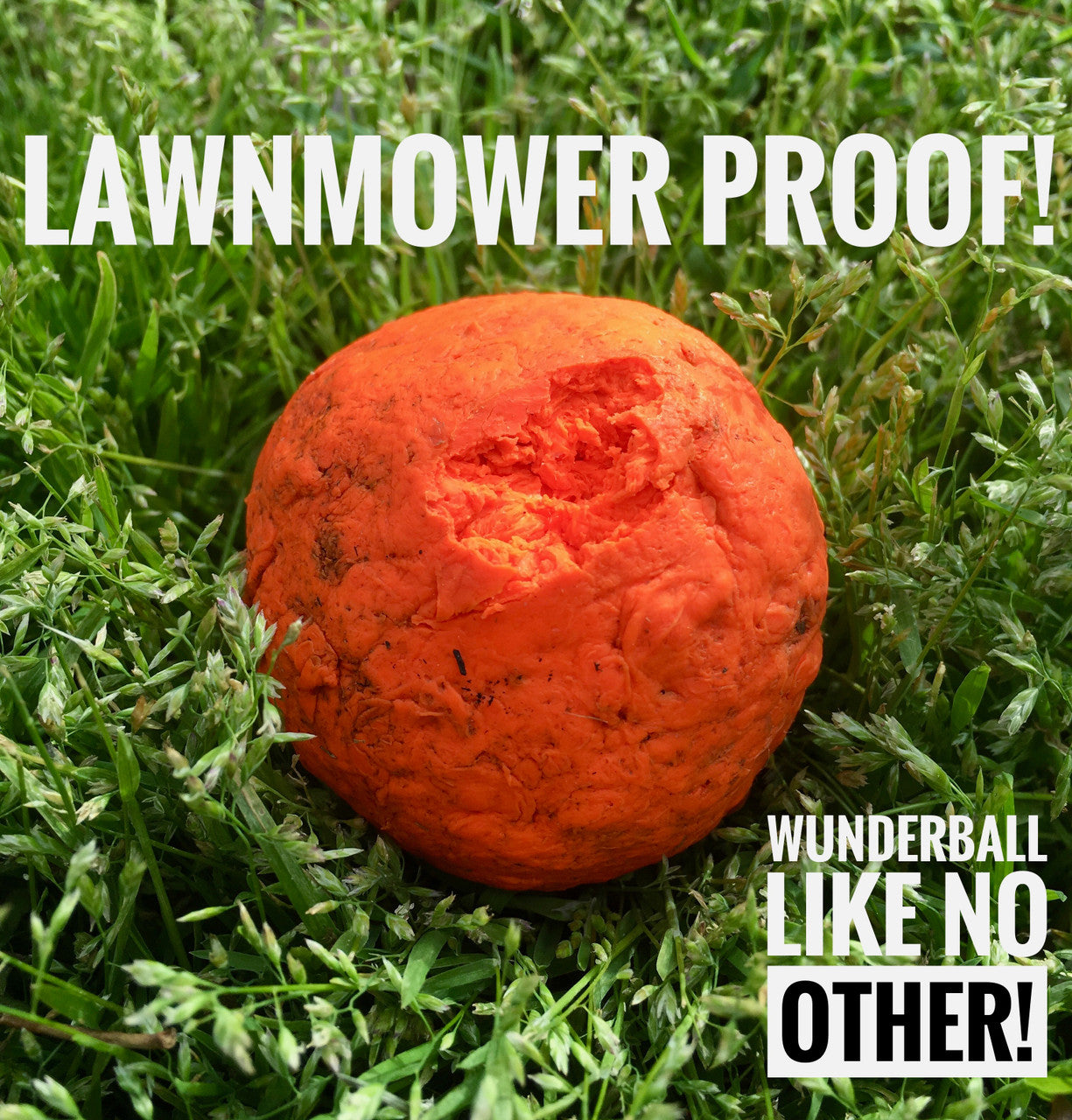 WUNDERball™ Natural Rubber Fetch Ball | Durable Floating Dog Toy for Aggressive Chewers
