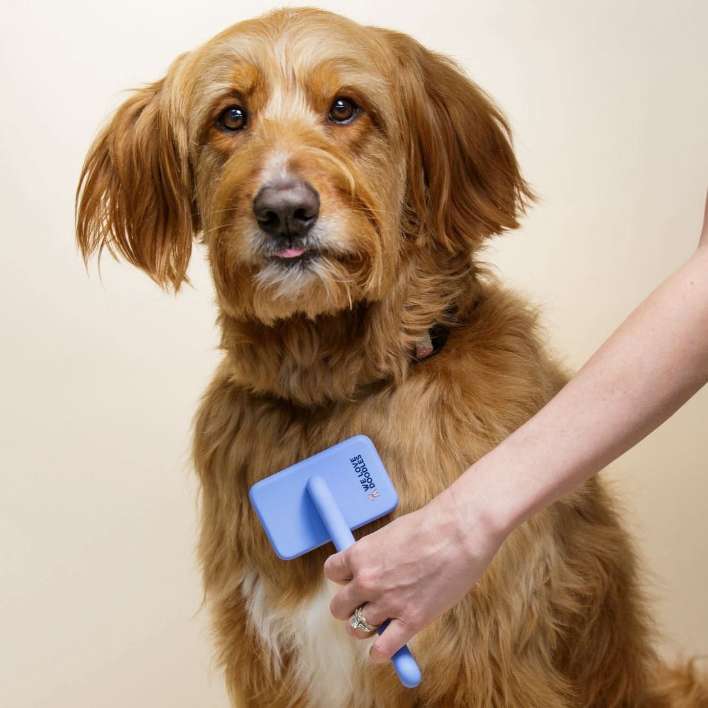 Professional Long Pin Slicker Brush for Dogs | Deshedding & Dematting Grooming Brush