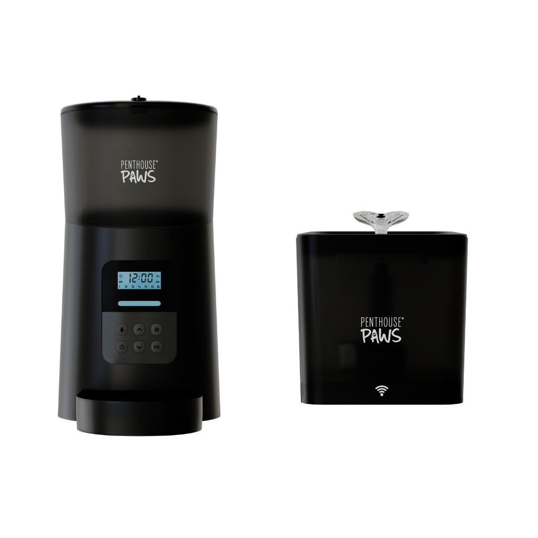 Automatic Cat Feeder & Smart Pet Water Fountain Bundle | Programmable Feeding & App-Controlled Hydration System