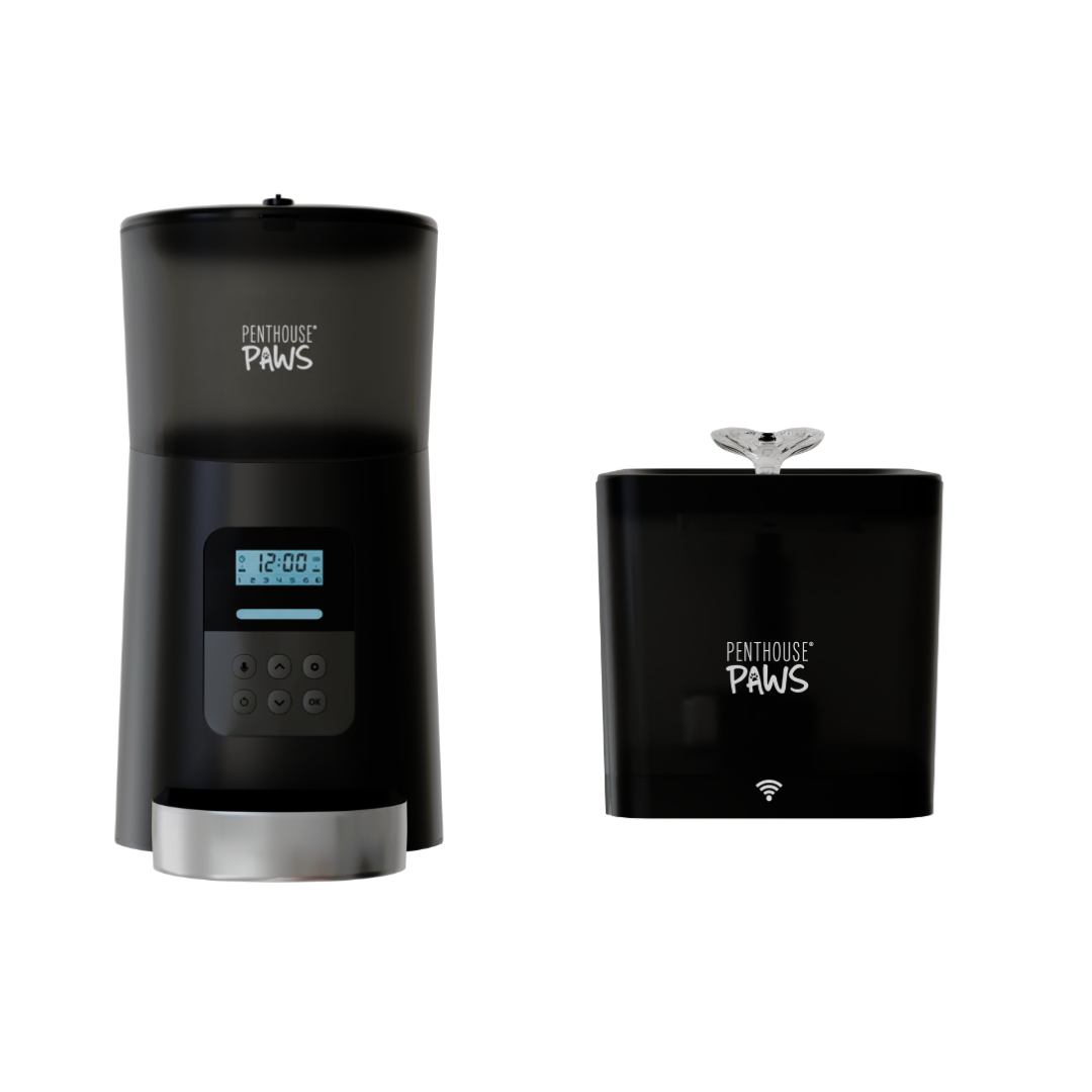 Automatic Cat Feeder & Smart Pet Water Fountain Bundle | Programmable Feeding & App-Controlled Hydration System