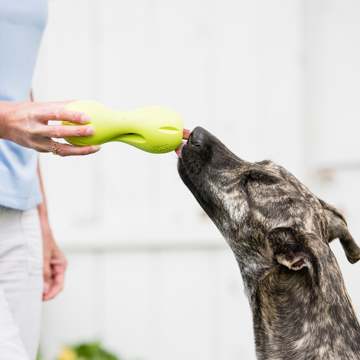 Qwizl® Durable Dog Treat Dispenser | Tough Chew Enrichment Toy for Dogs