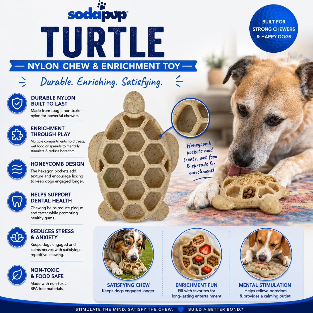 Turtle Nylon Chew Toy | USA-Made Durable Enrichment Dog Toy for Power Chewers