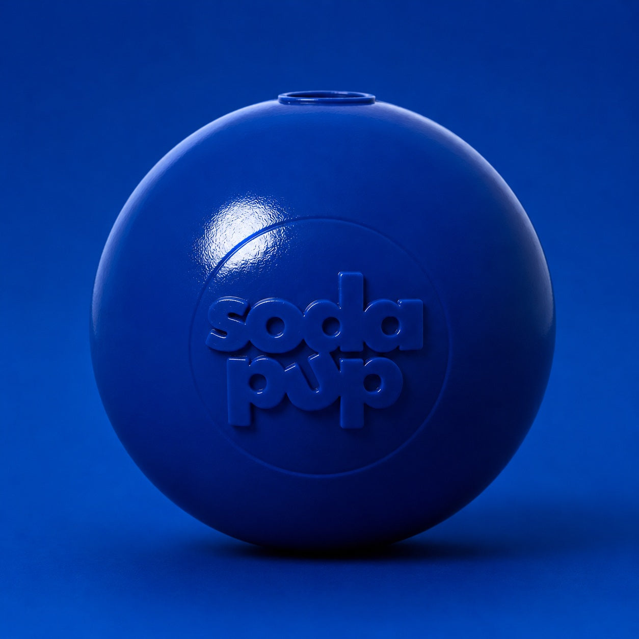 Durable Squeaky Dog Ball | USA-Made Floating Fetch & Chew Toy for Dogs