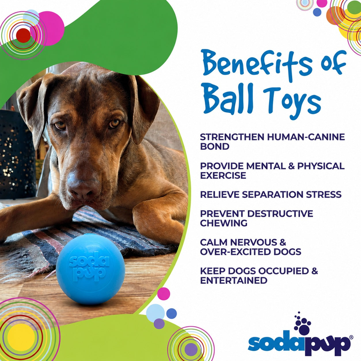 Durable Squeaky Dog Ball | USA-Made Floating Fetch & Chew Toy for Dogs