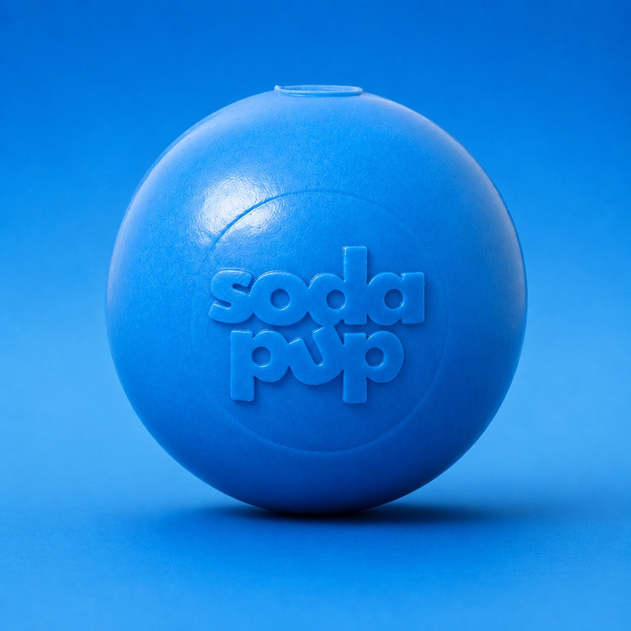 Durable Squeaky Dog Ball | USA-Made Floating Fetch & Chew Toy for Dogs