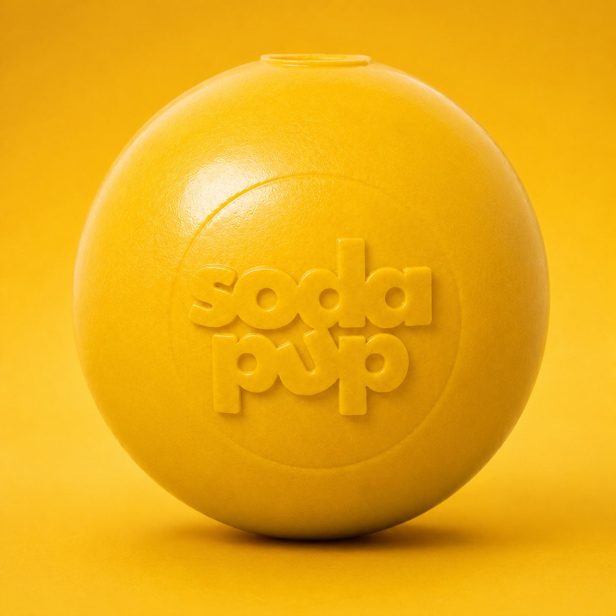 Durable Squeaky Dog Ball | USA-Made Floating Fetch & Chew Toy for Dogs