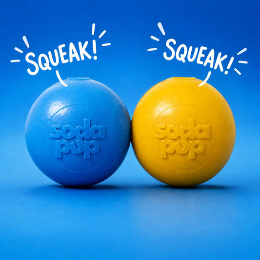 Durable Squeaky Dog Ball | USA-Made Floating Fetch & Chew Toy for Dogs