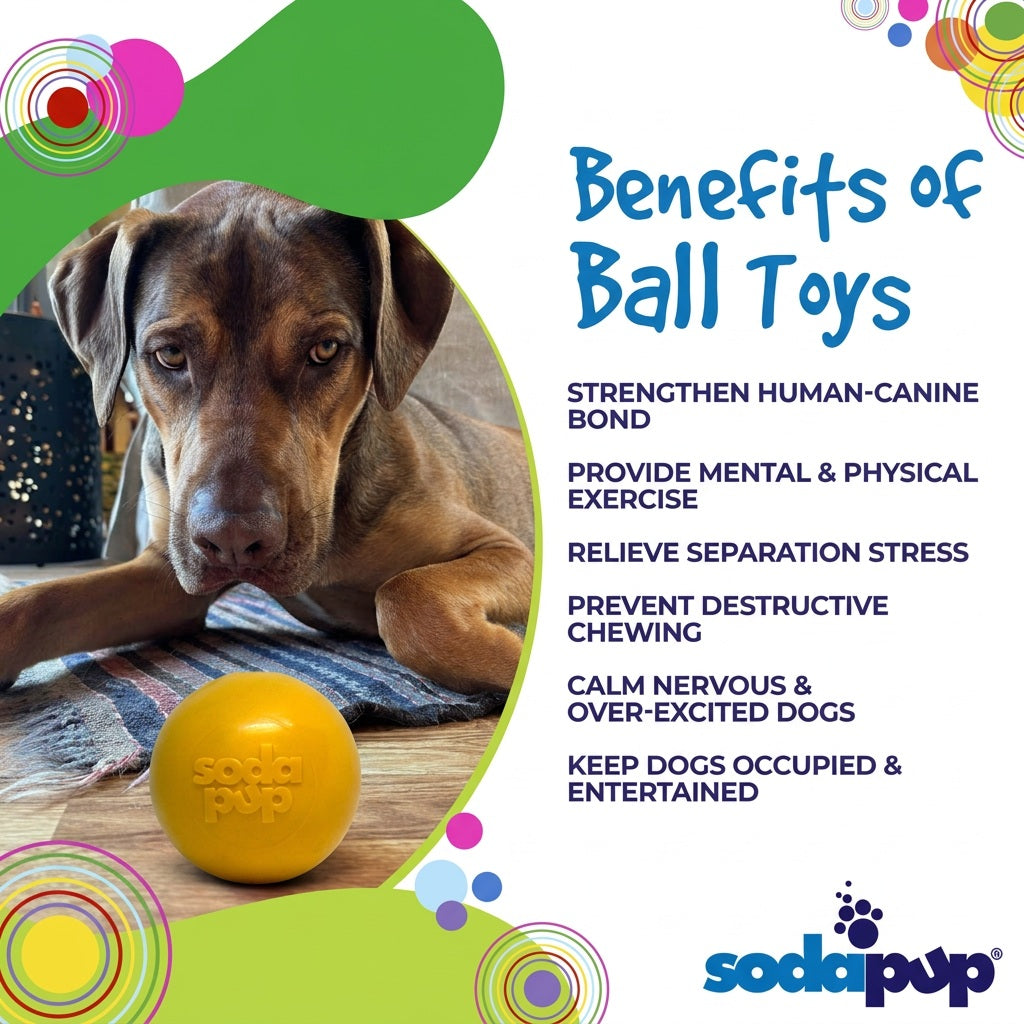 Durable Squeaky Dog Ball | USA-Made Floating Fetch & Chew Toy for Dogs