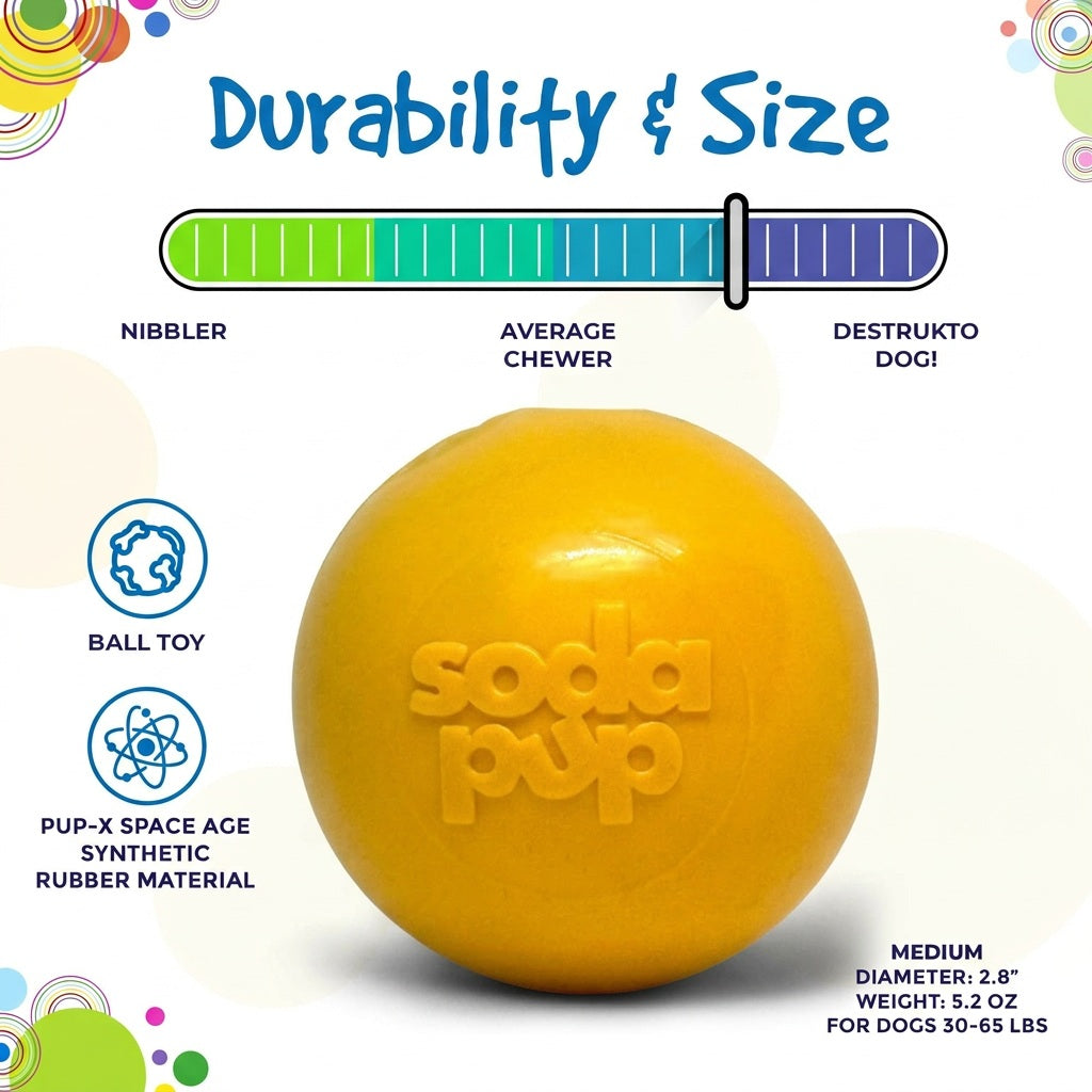 Durable Squeaky Dog Ball | USA-Made Floating Fetch & Chew Toy for Dogs