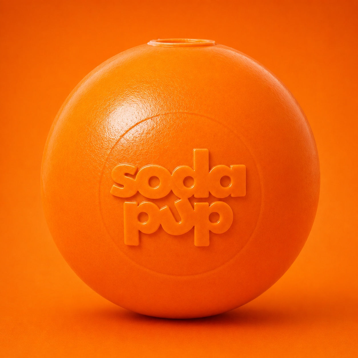 Durable Squeaky Dog Ball | USA-Made Floating Fetch & Chew Toy for Dogs