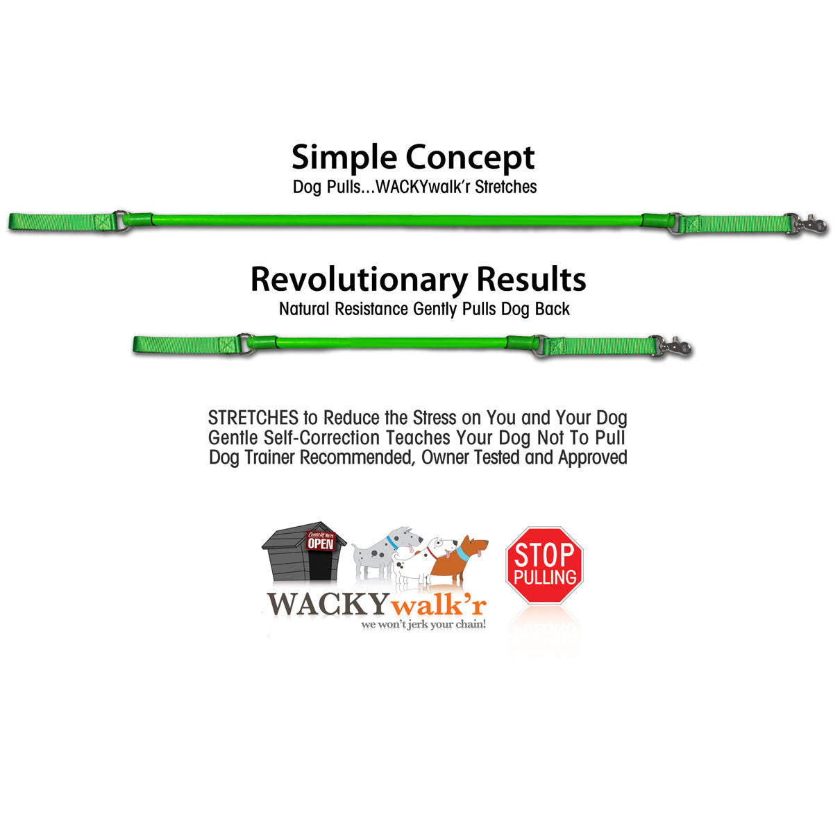 Urban No-Pull Dog Leash | Shock-Absorbing Training Leash with Traffic Handle