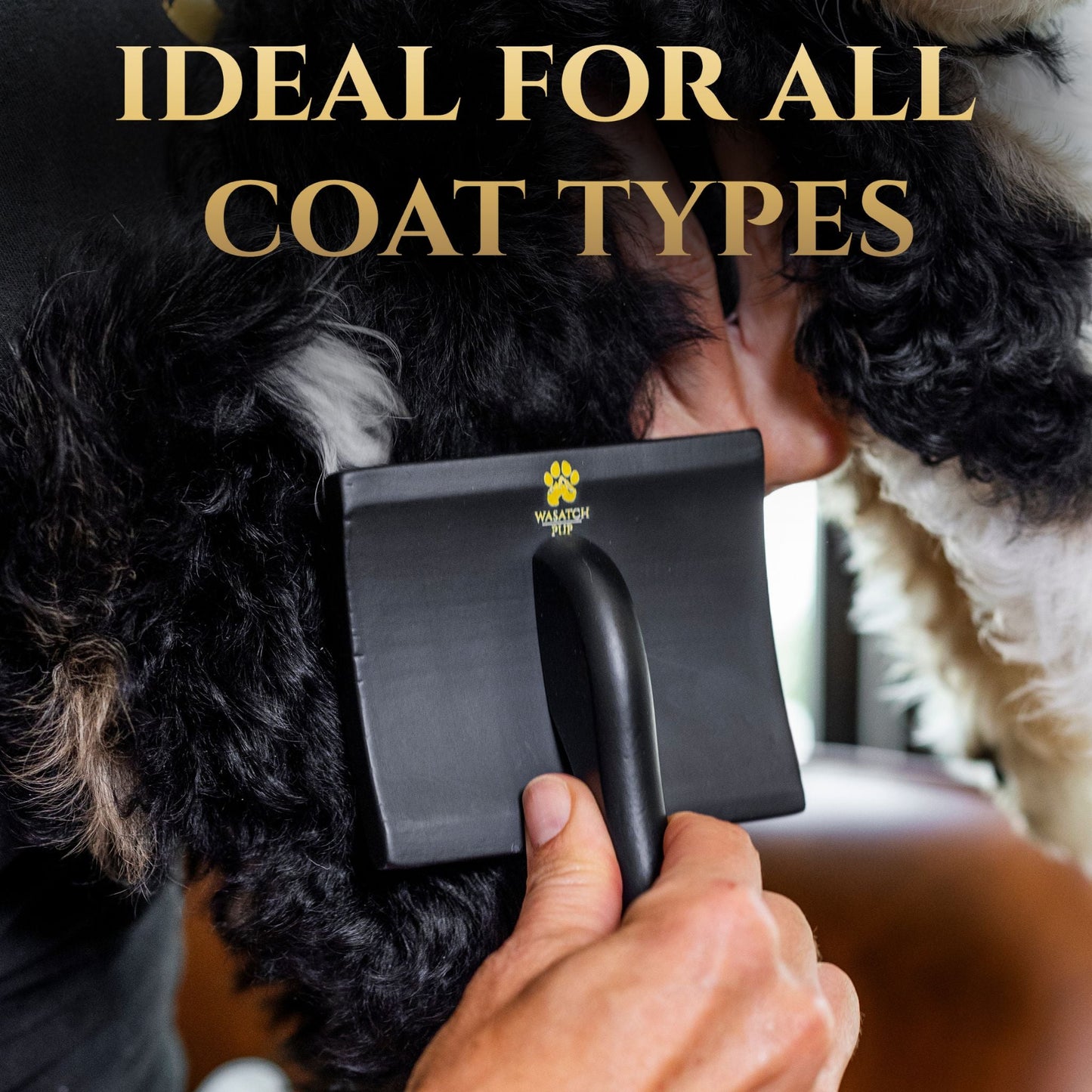 Professional Slicker Brush for Dogs | Deshedding & Detangling Grooming Brush