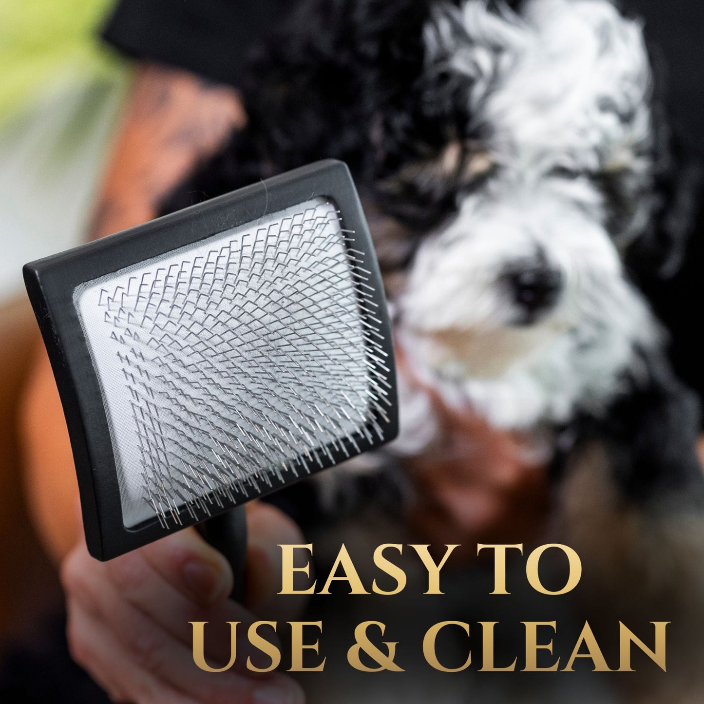 Professional Slicker Brush for Dogs | Deshedding & Detangling Grooming Brush