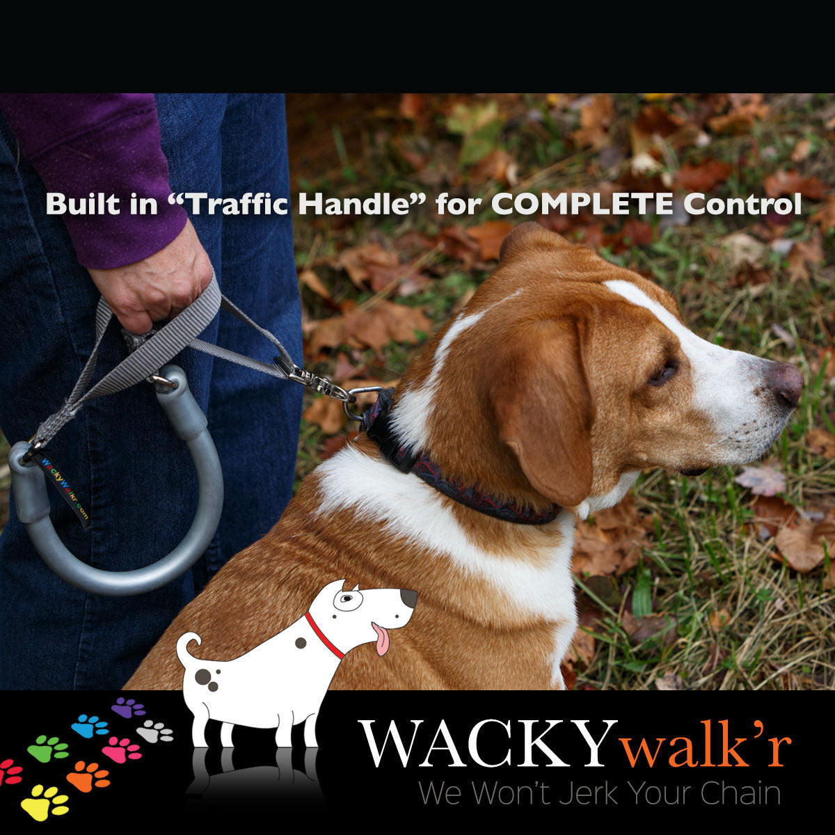Urban No-Pull Dog Leash | Shock-Absorbing Training Leash with Traffic Handle