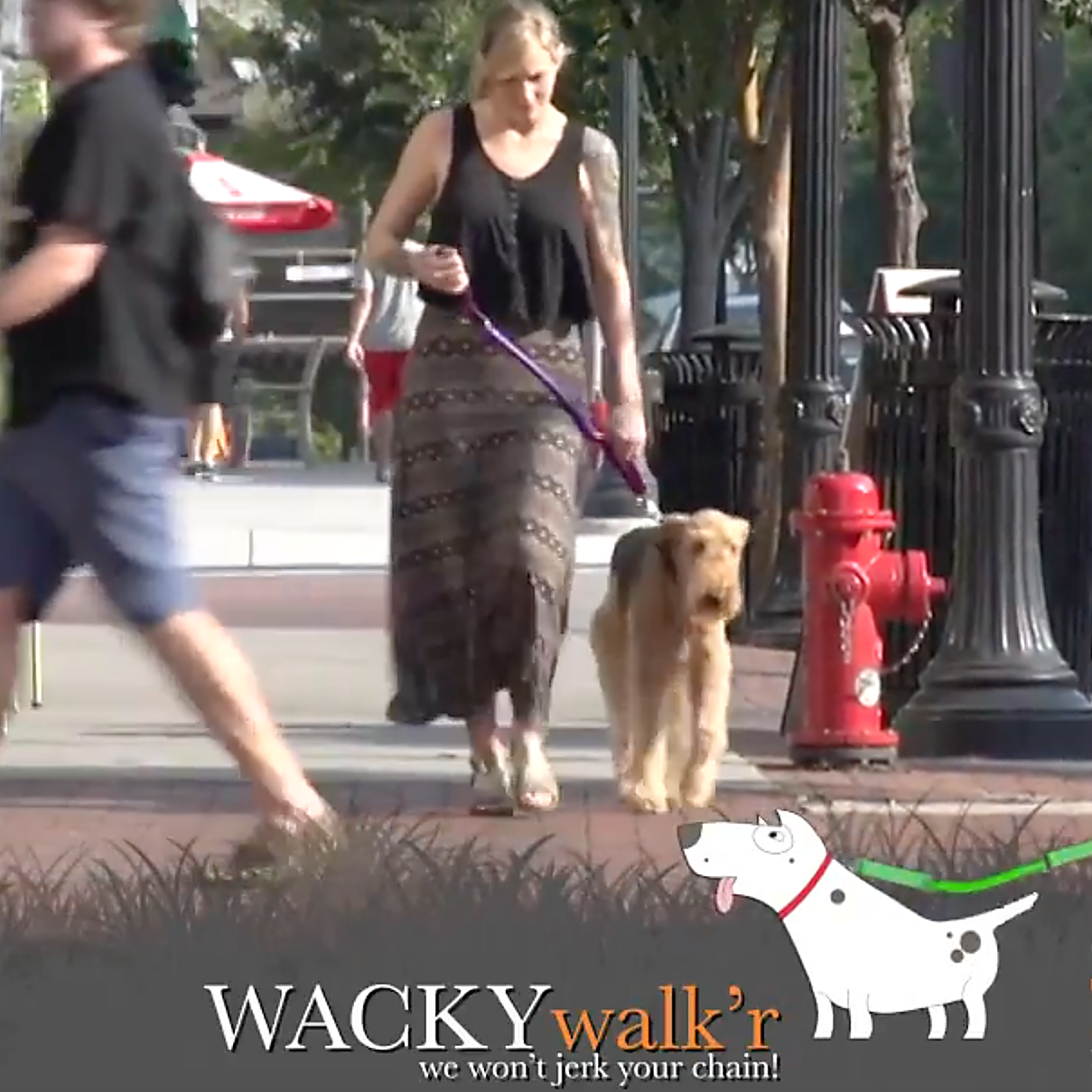 Urban No-Pull Dog Leash | Shock-Absorbing Training Leash with Traffic Handle