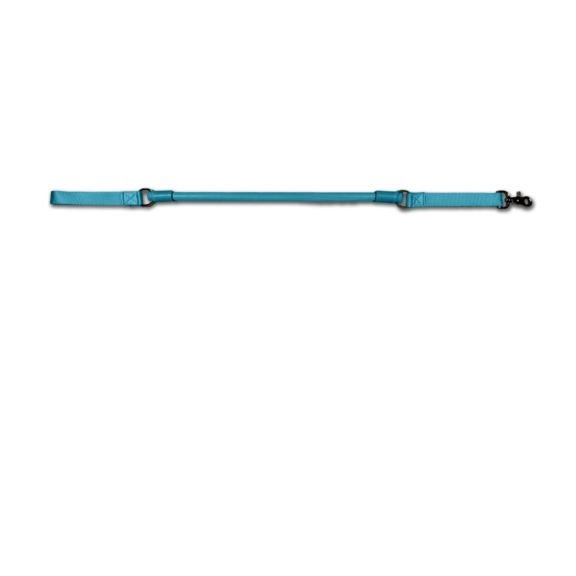 Urban No-Pull Dog Leash | Shock-Absorbing Training Leash with Traffic Handle