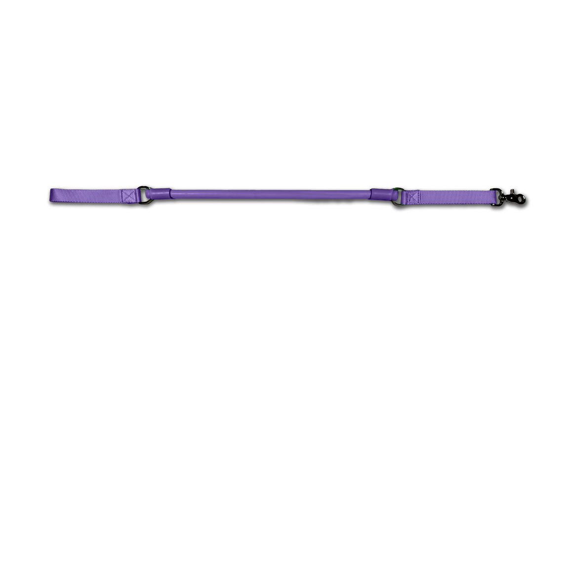 Urban No-Pull Dog Leash | Shock-Absorbing Training Leash with Traffic Handle