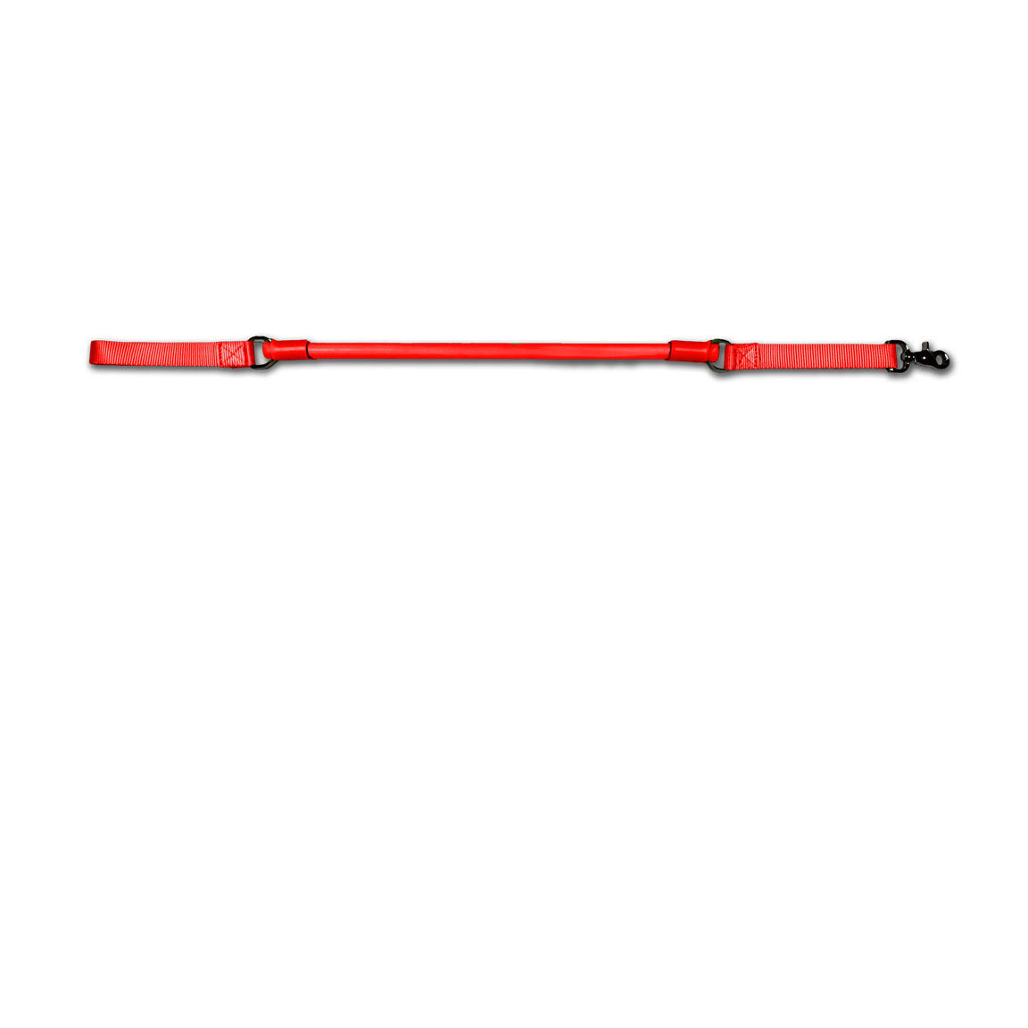 Urban No-Pull Dog Leash | Shock-Absorbing Training Leash with Traffic Handle