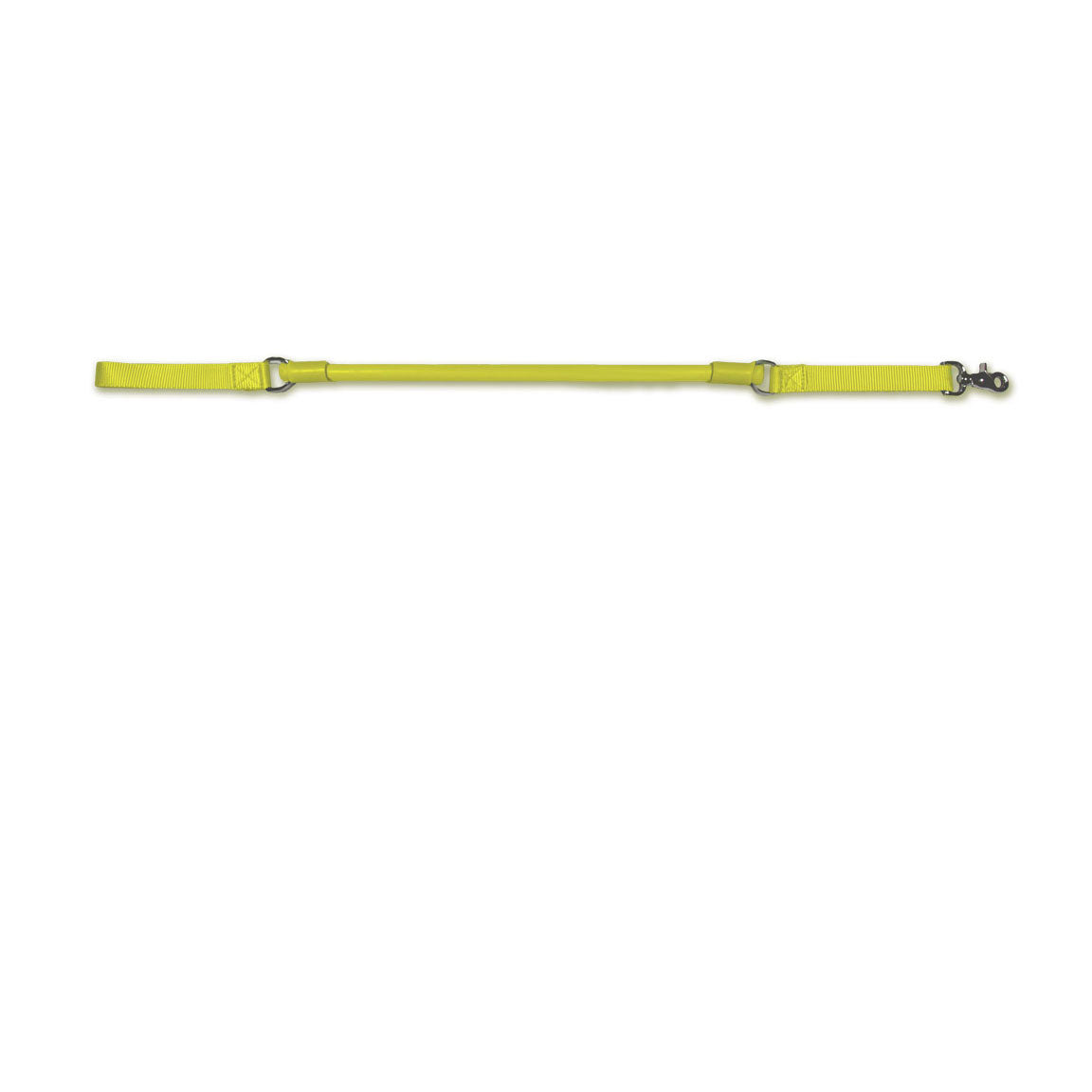 Urban No-Pull Dog Leash | Shock-Absorbing Training Leash with Traffic Handle